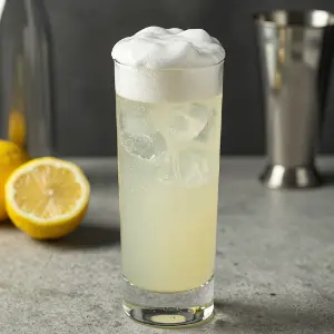 Vodka Fizz